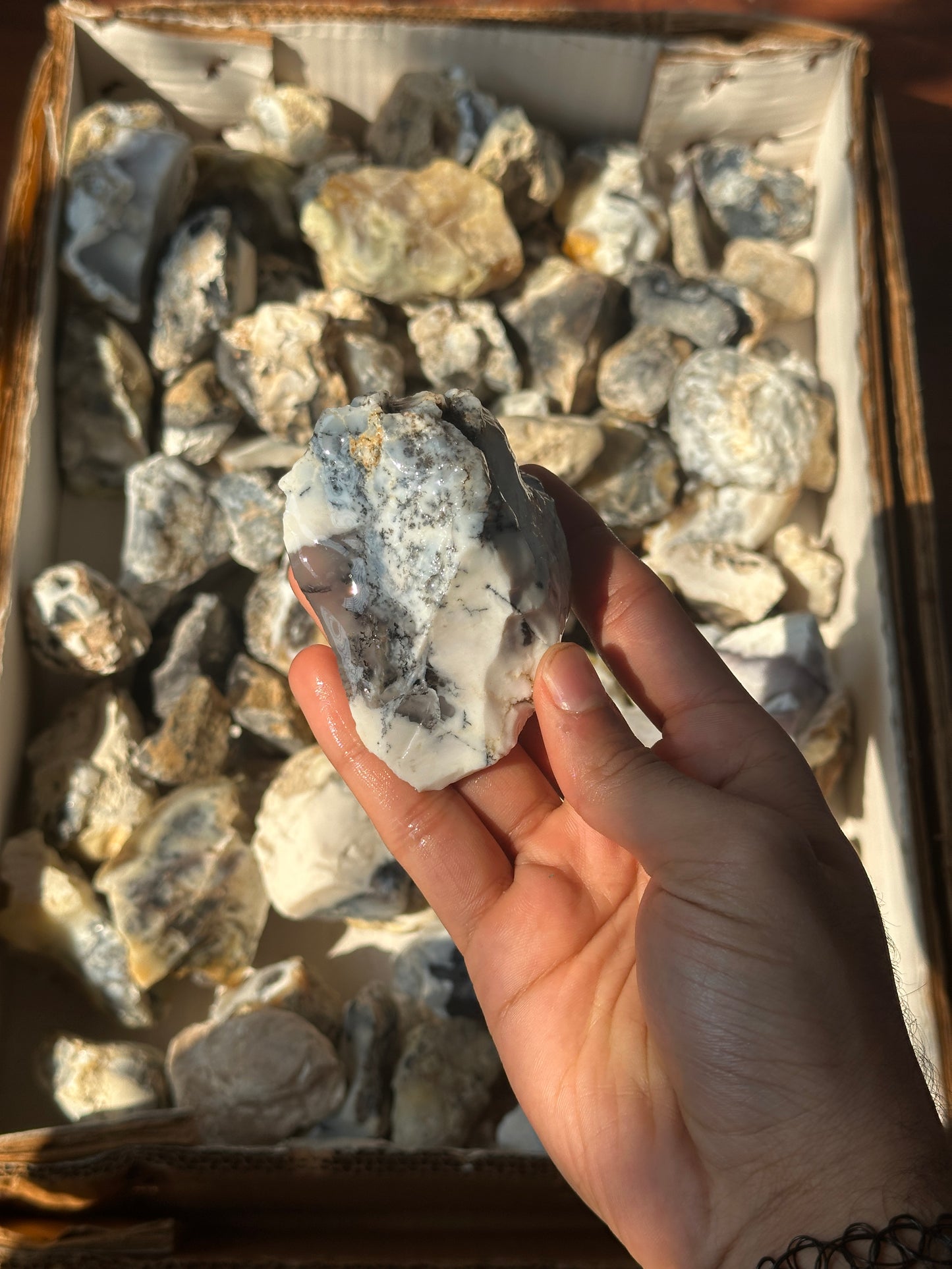 Dendritic Agate Rough (1kg) image 12