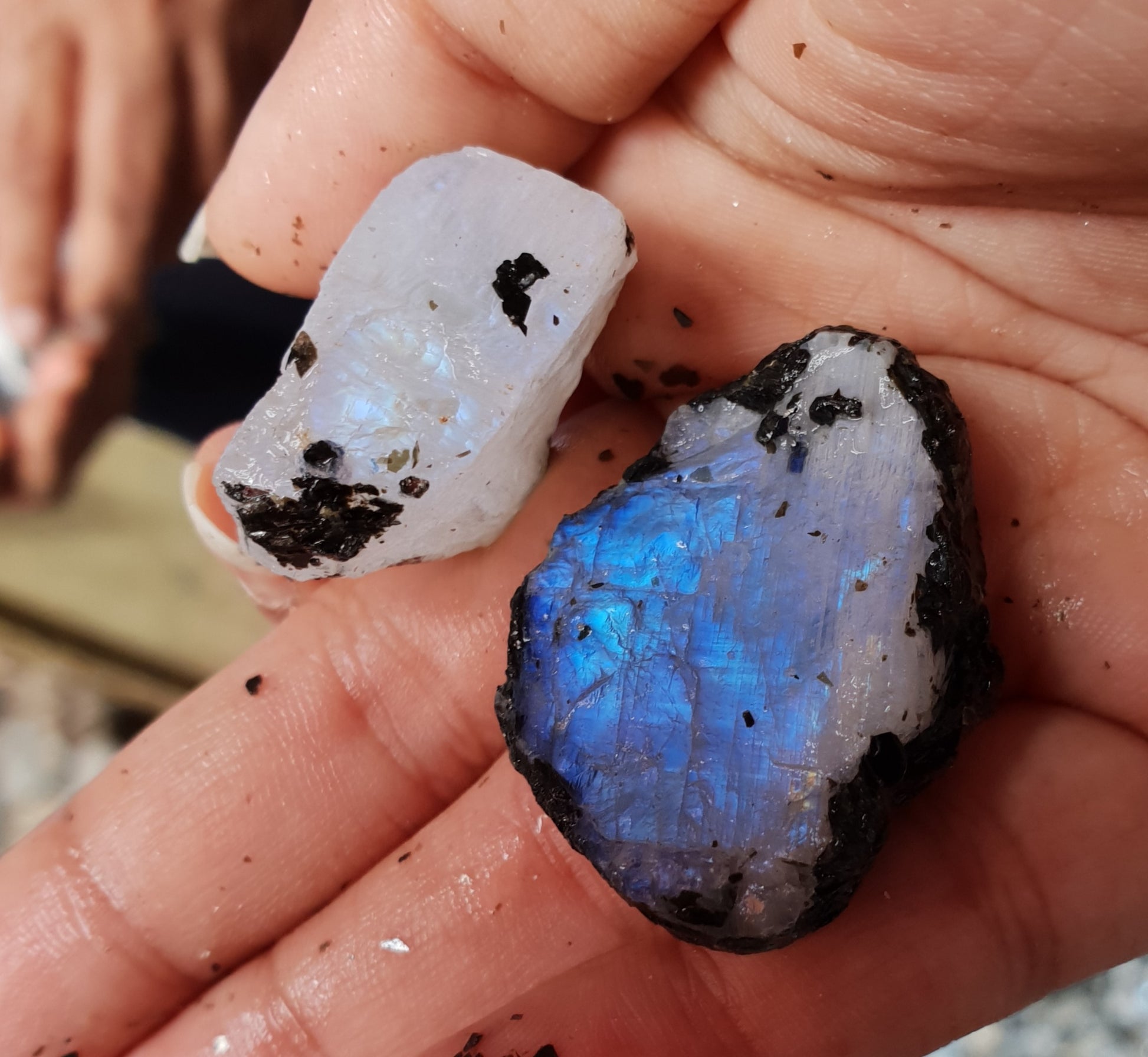 Rainbow Moonstone- Gem Quality image 1