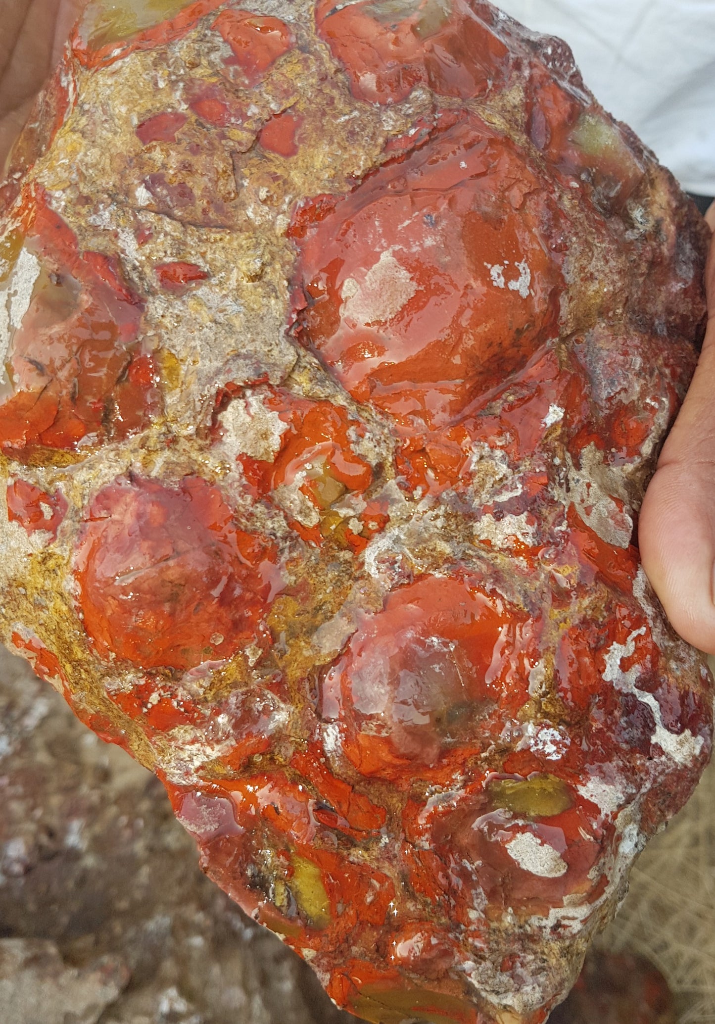Conglomerate/King Cobra Jasper image 1