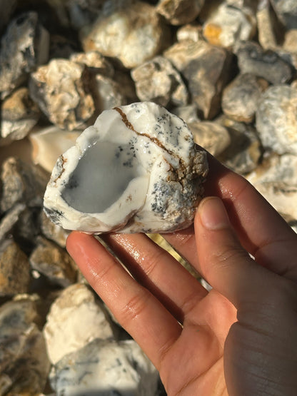 Dendritic Agate Rough (1kg) image 7