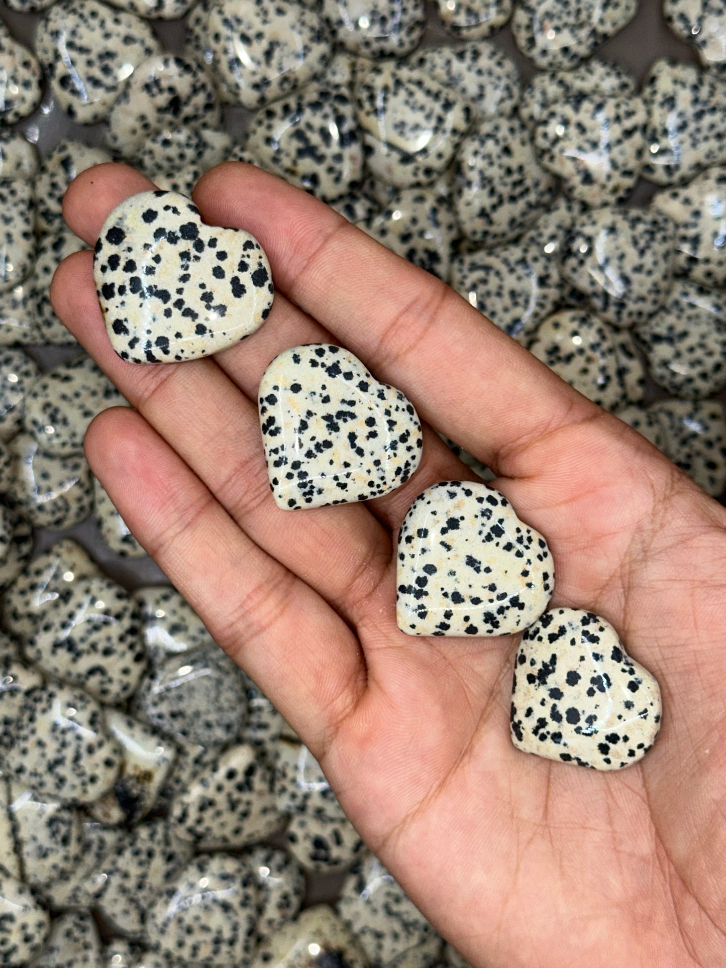 Mini Dalmation Jasper Hearts image 4