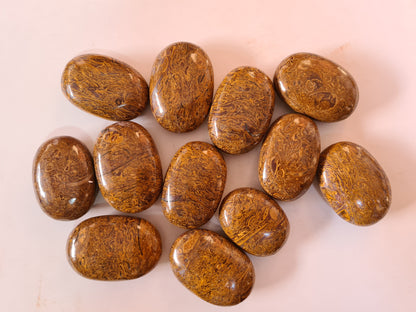Camel Jasper/Miriam Stone Palm Stones image 0