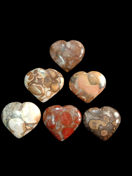 King Cobra/Conglomerate Jasper Hearts (Big Sized 50-55 mm) image 0
