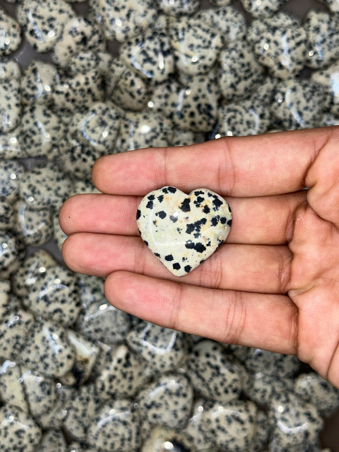 Mini Dalmation Jasper Hearts image 2