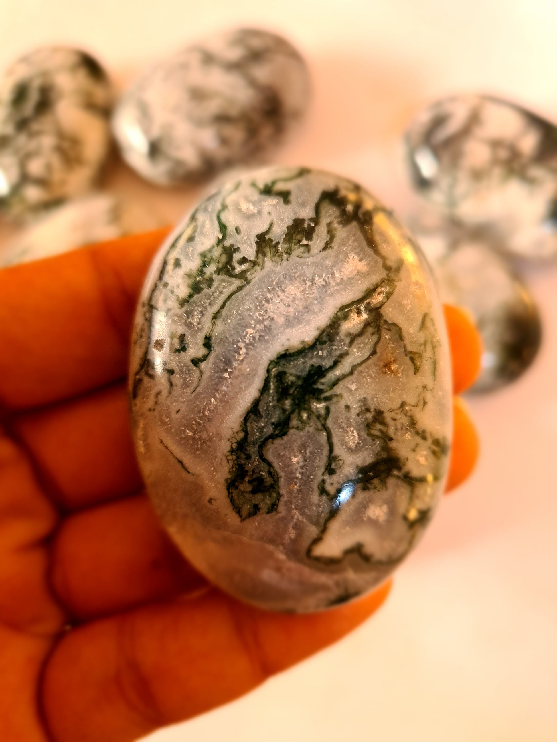 Tree Agate Palm Stones image 1