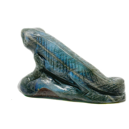 Lizard image 0