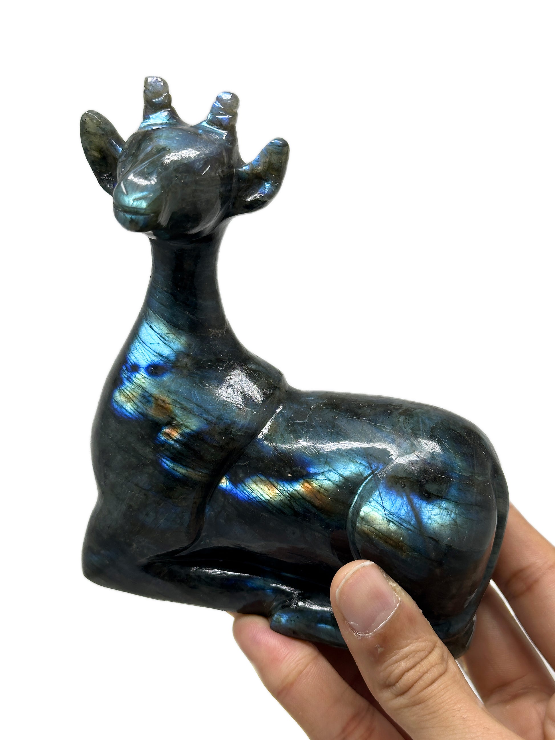 Deer image 0