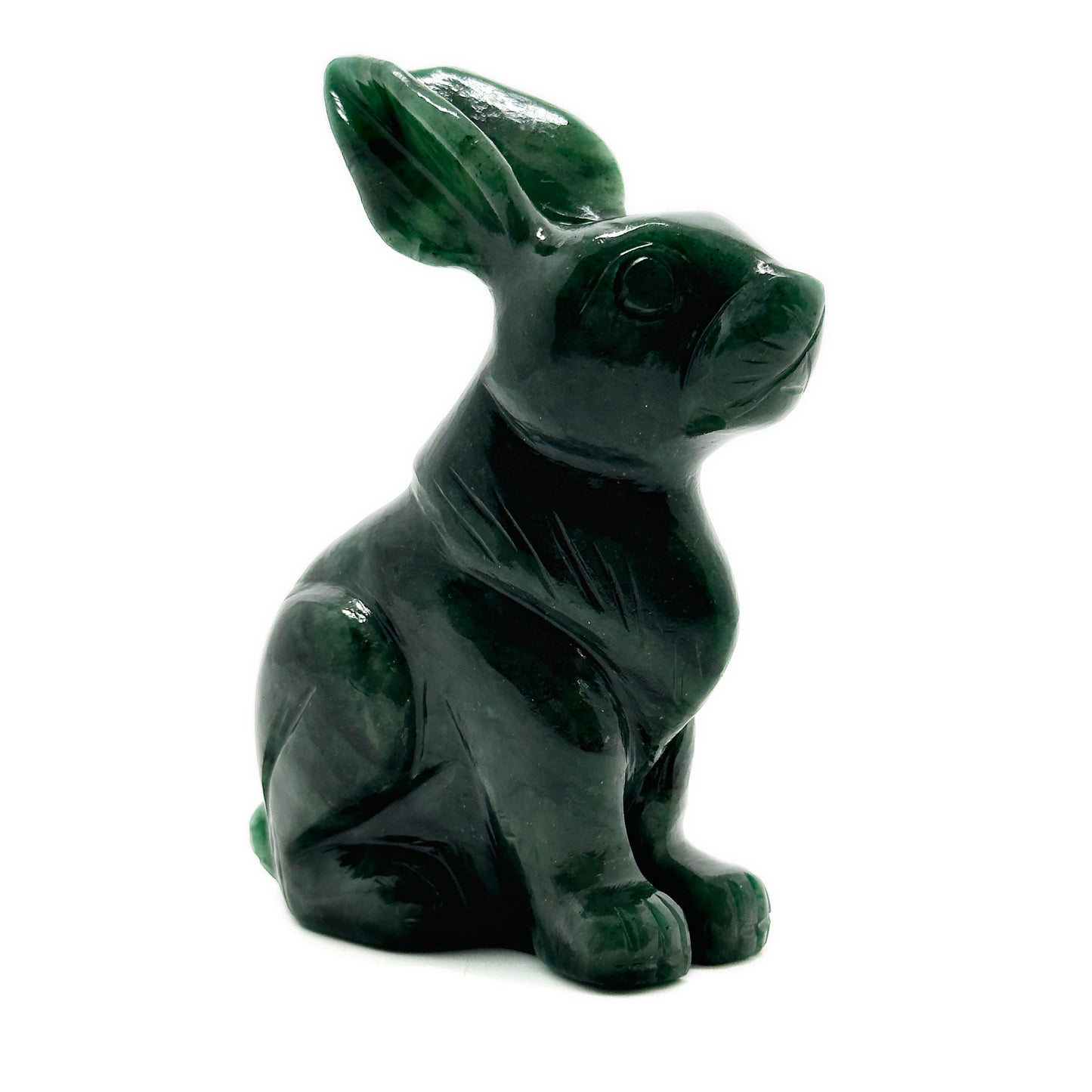 Rabbit image 0