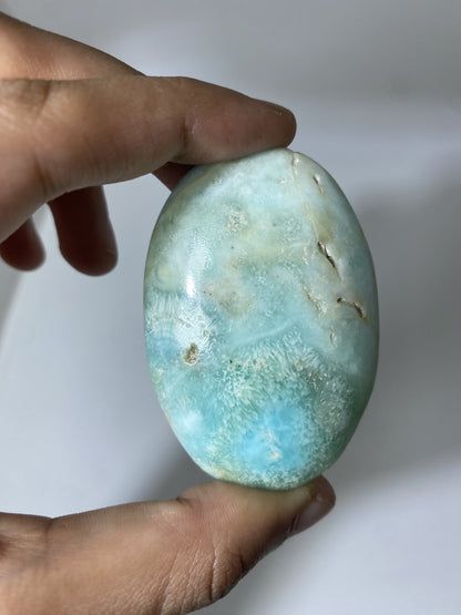 Caribbean Calcite Palmstone