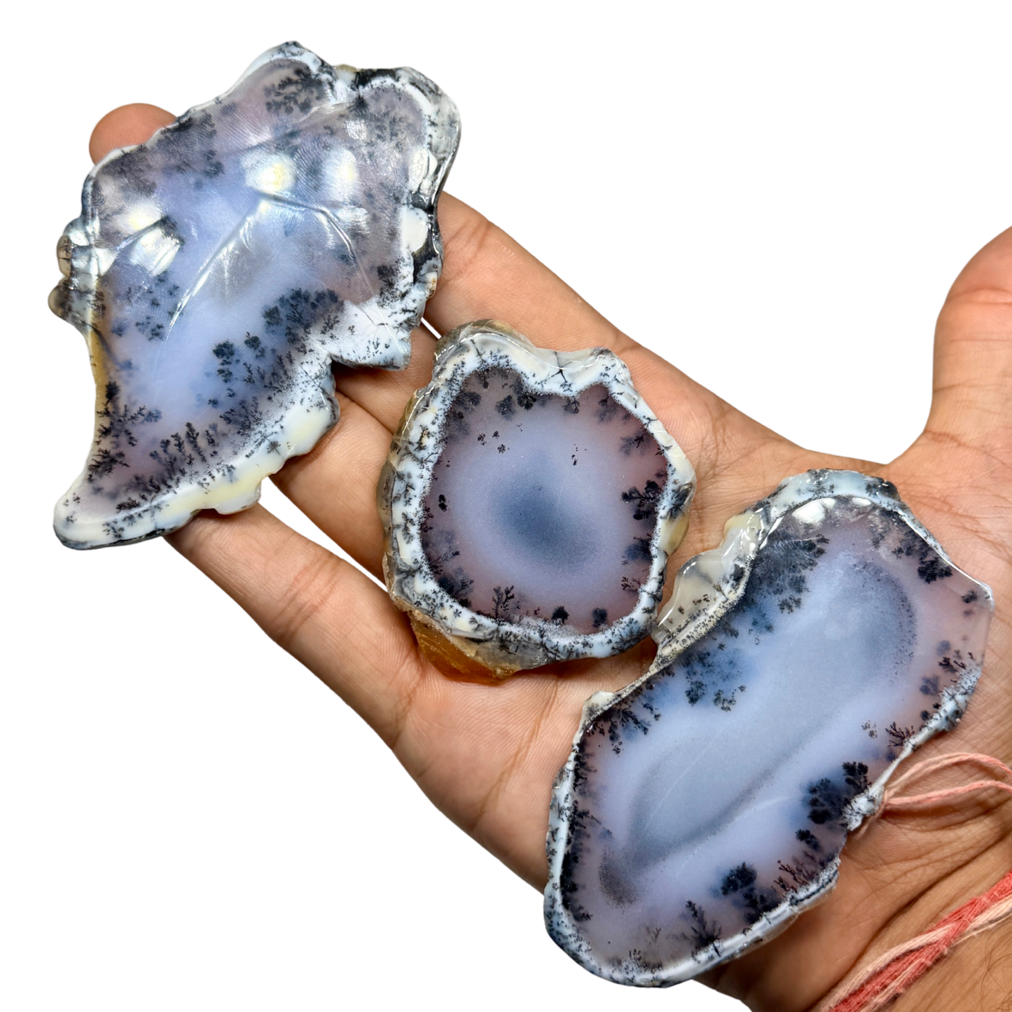 Dendritic Agate Slices (1KG)