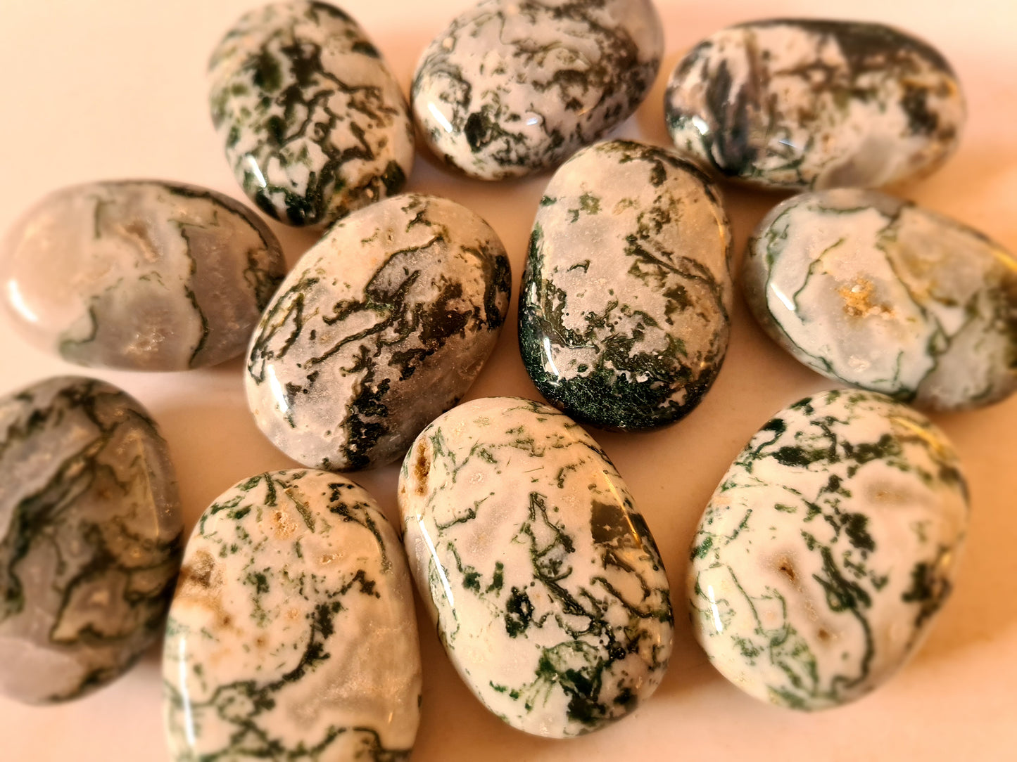 Tree Agate Palm Stones image 0