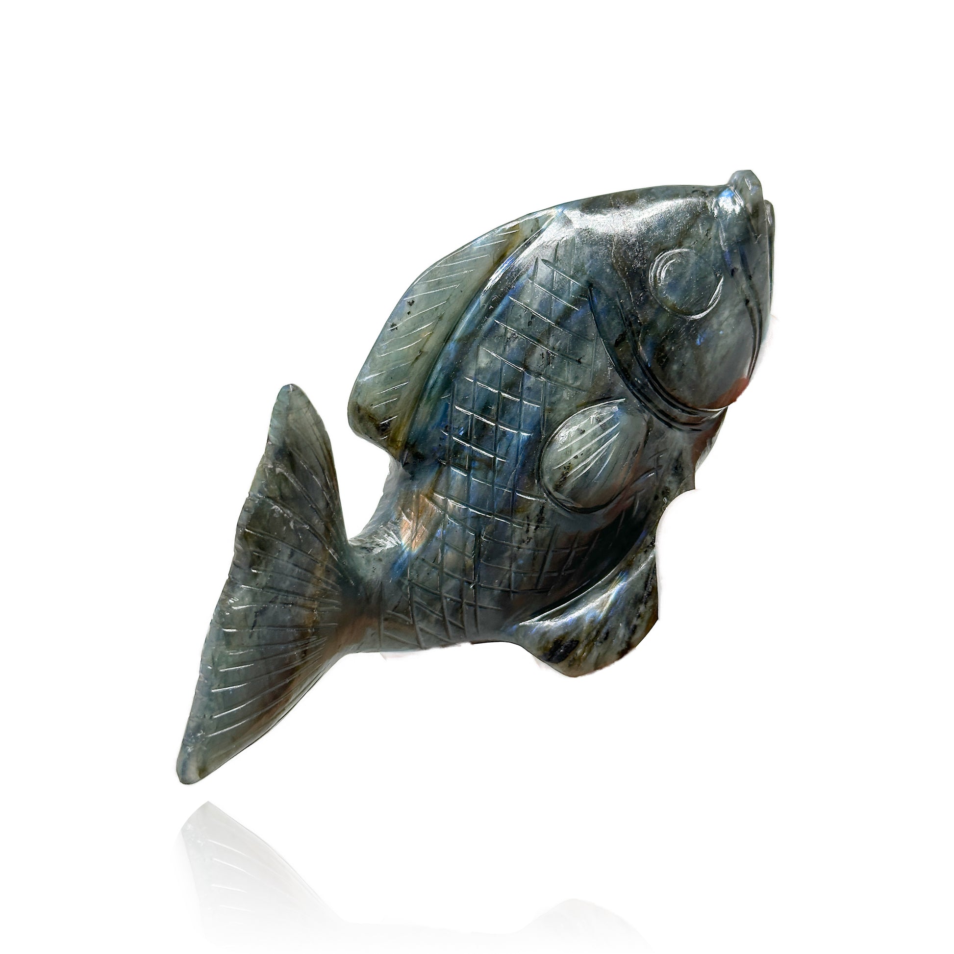 Fish image 0