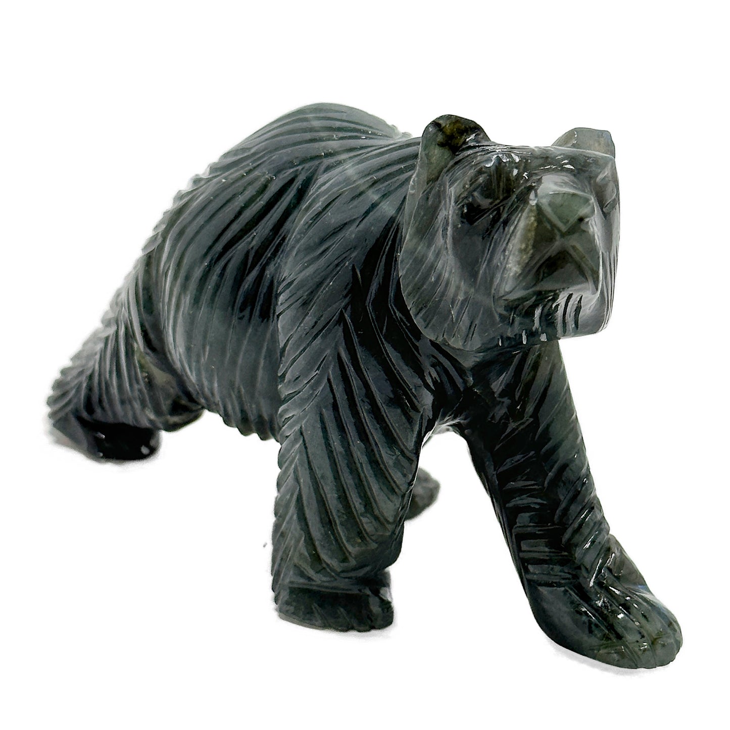 Bear image 0