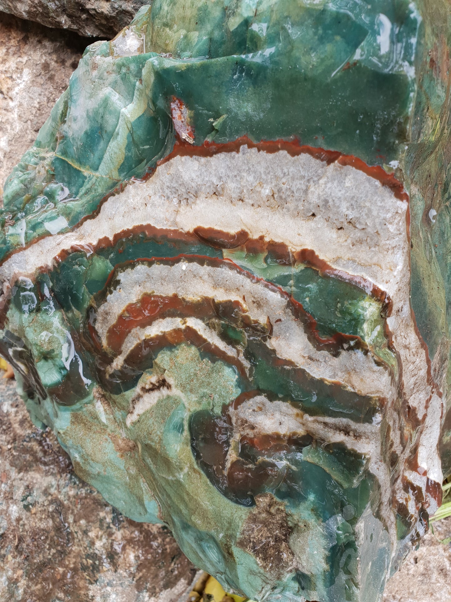 Green Zebra Agate Rough image 0