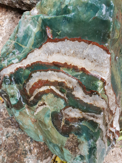 Green Zebra Agate Rough image 0