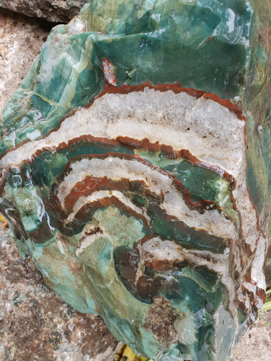 Green Zebra Agate Rough image 0