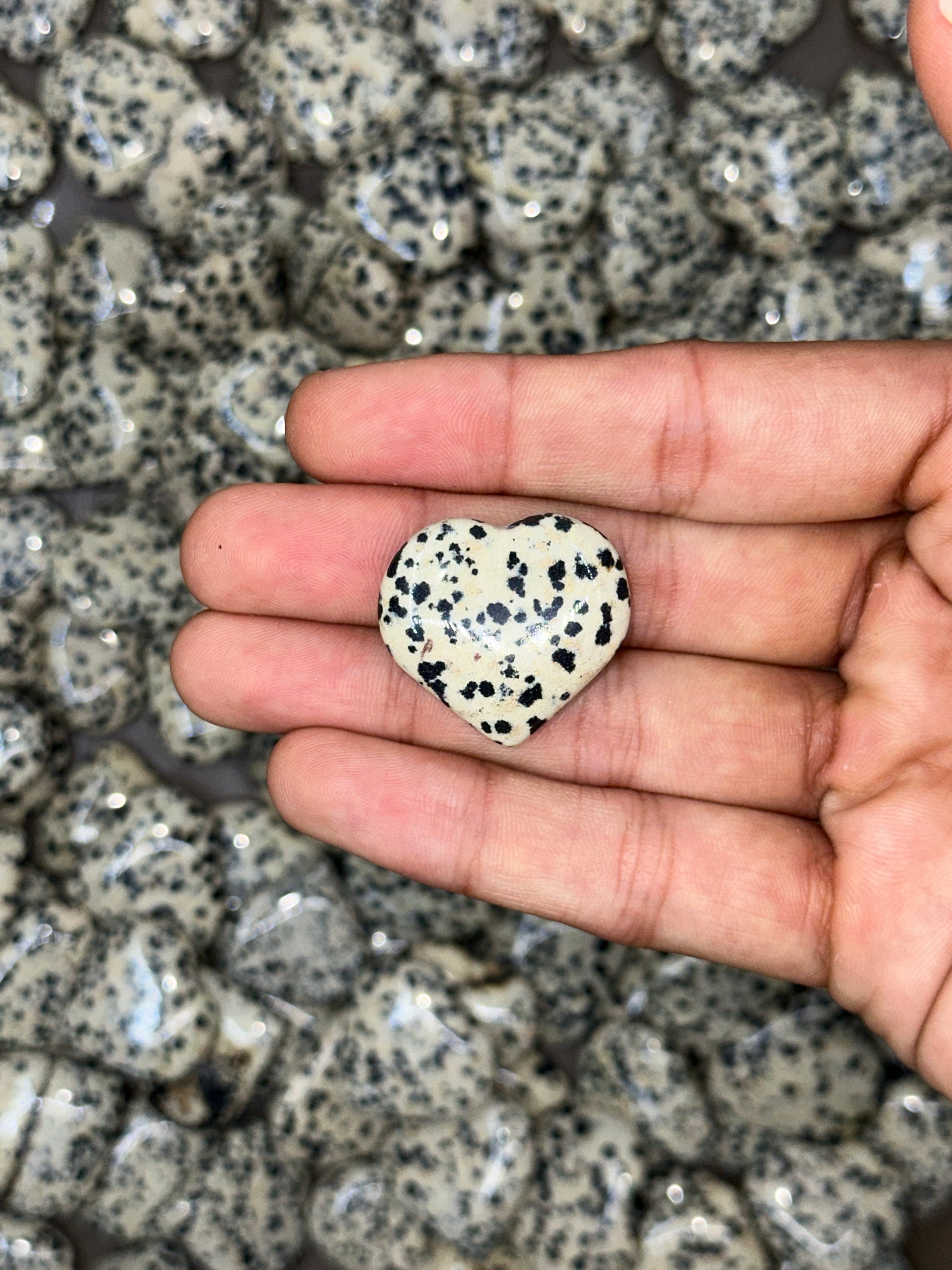 Mini Dalmation Jasper Hearts image 6