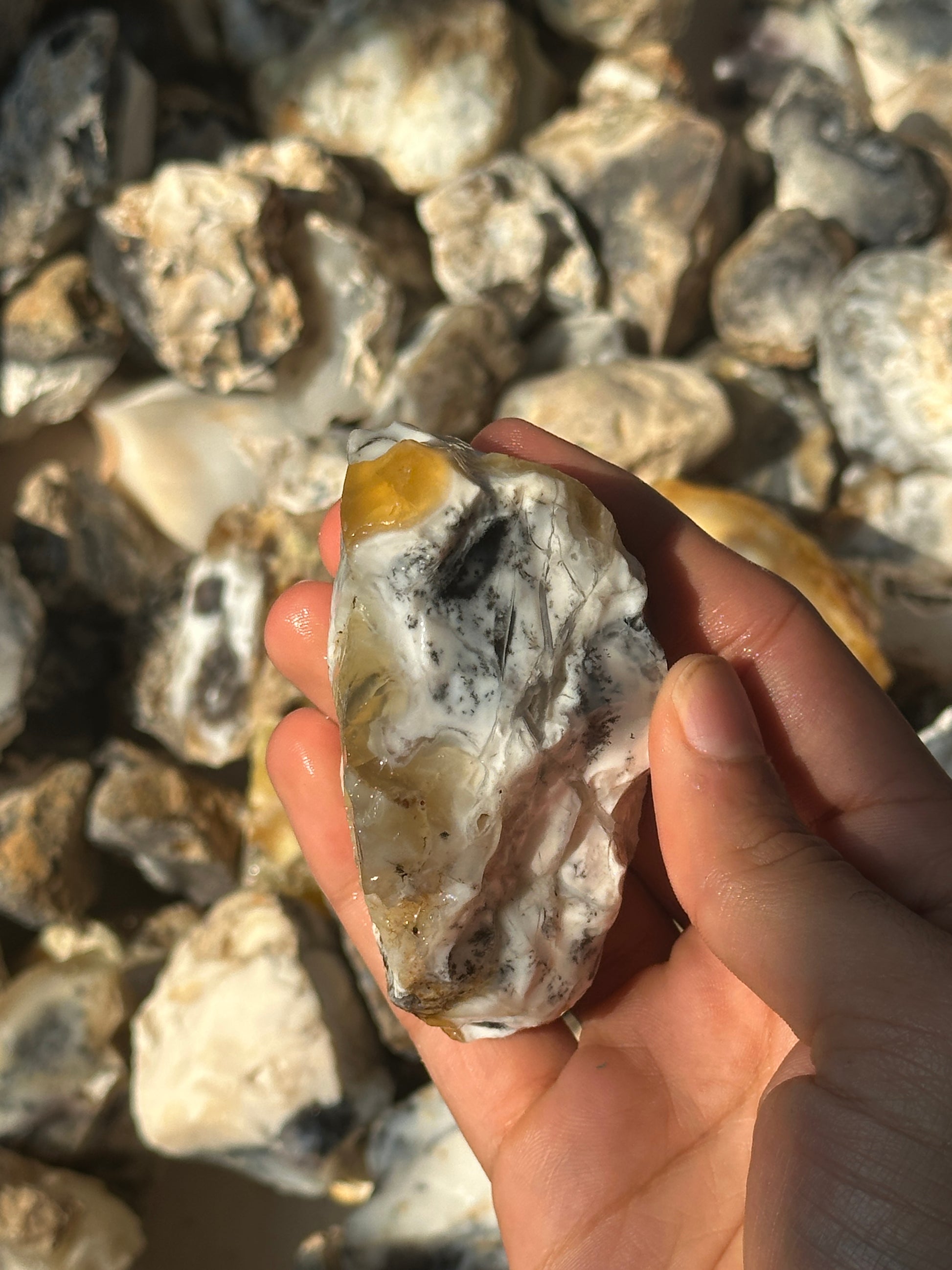 Dendritic Agate Rough (1kg) image 3