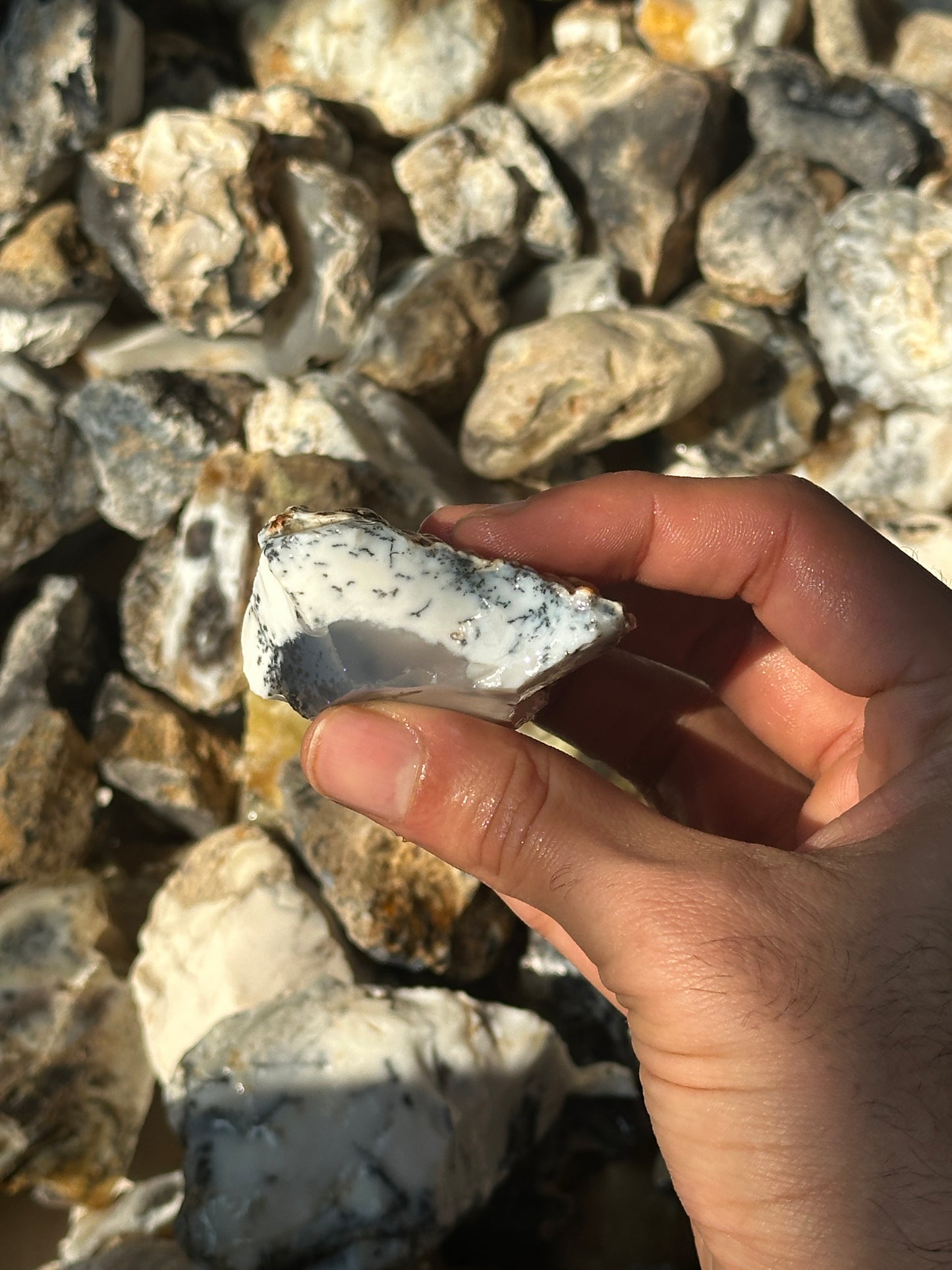 Dendritic Agate Rough (1kg) image 8