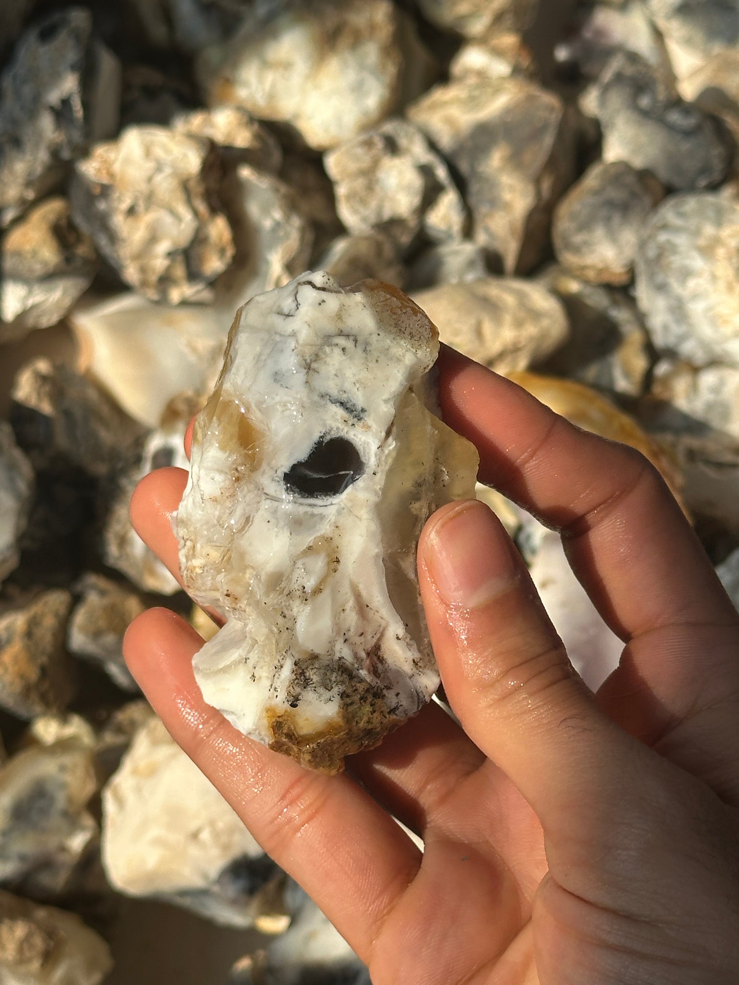 Dendritic Agate Rough (1kg) image 2