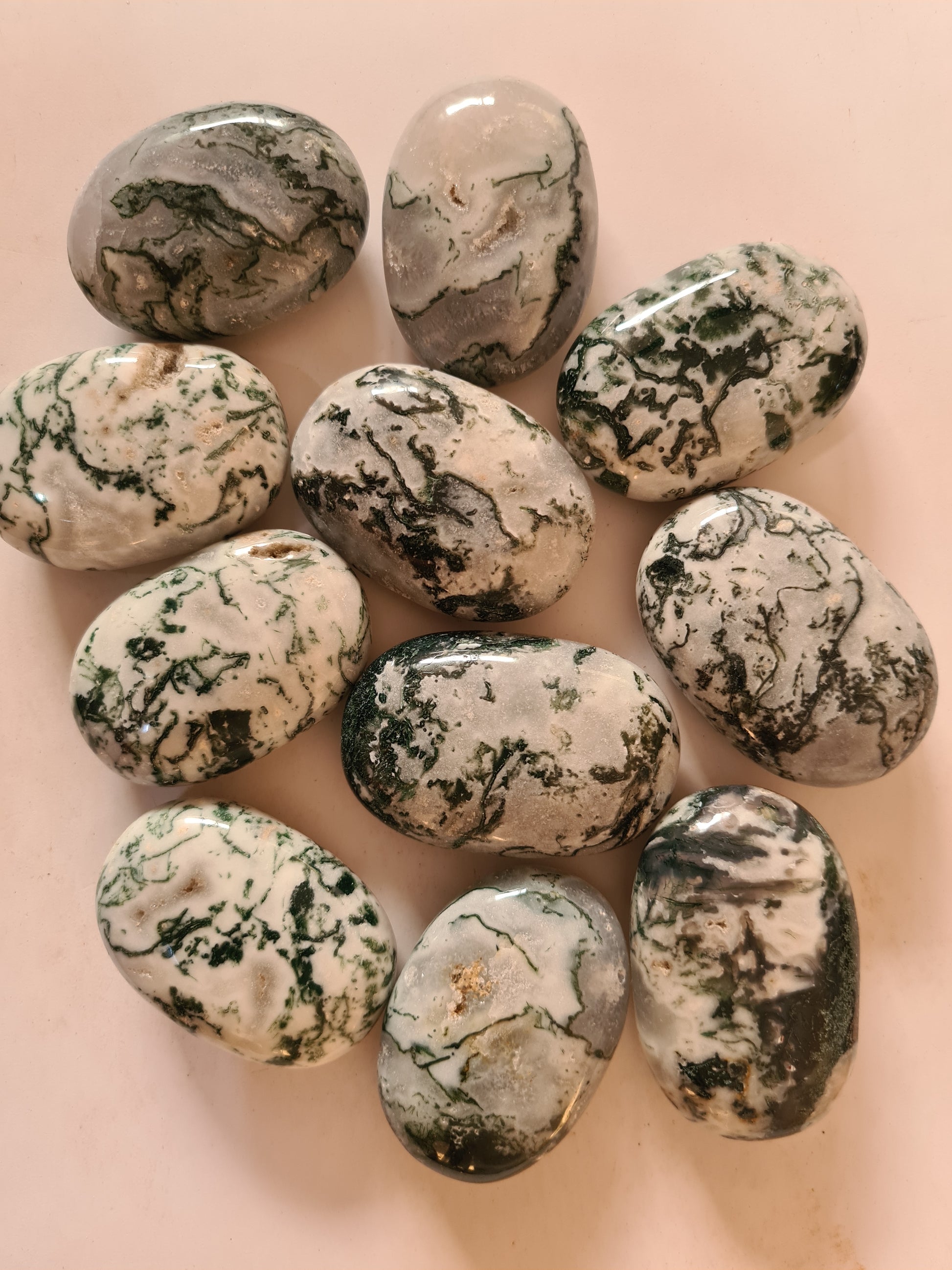 Tree Agate Palm Stones image 2