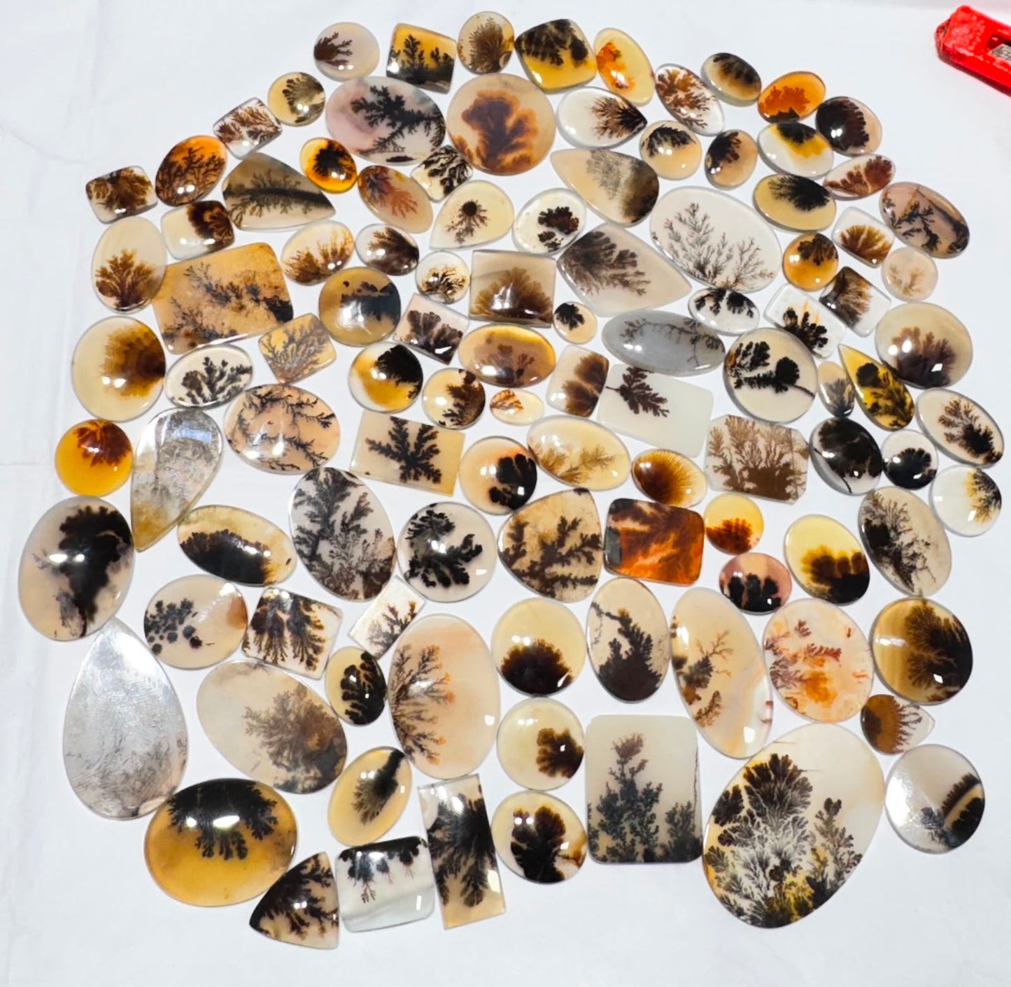 AAA Scenic Dendritic Agate Cabochons Lot