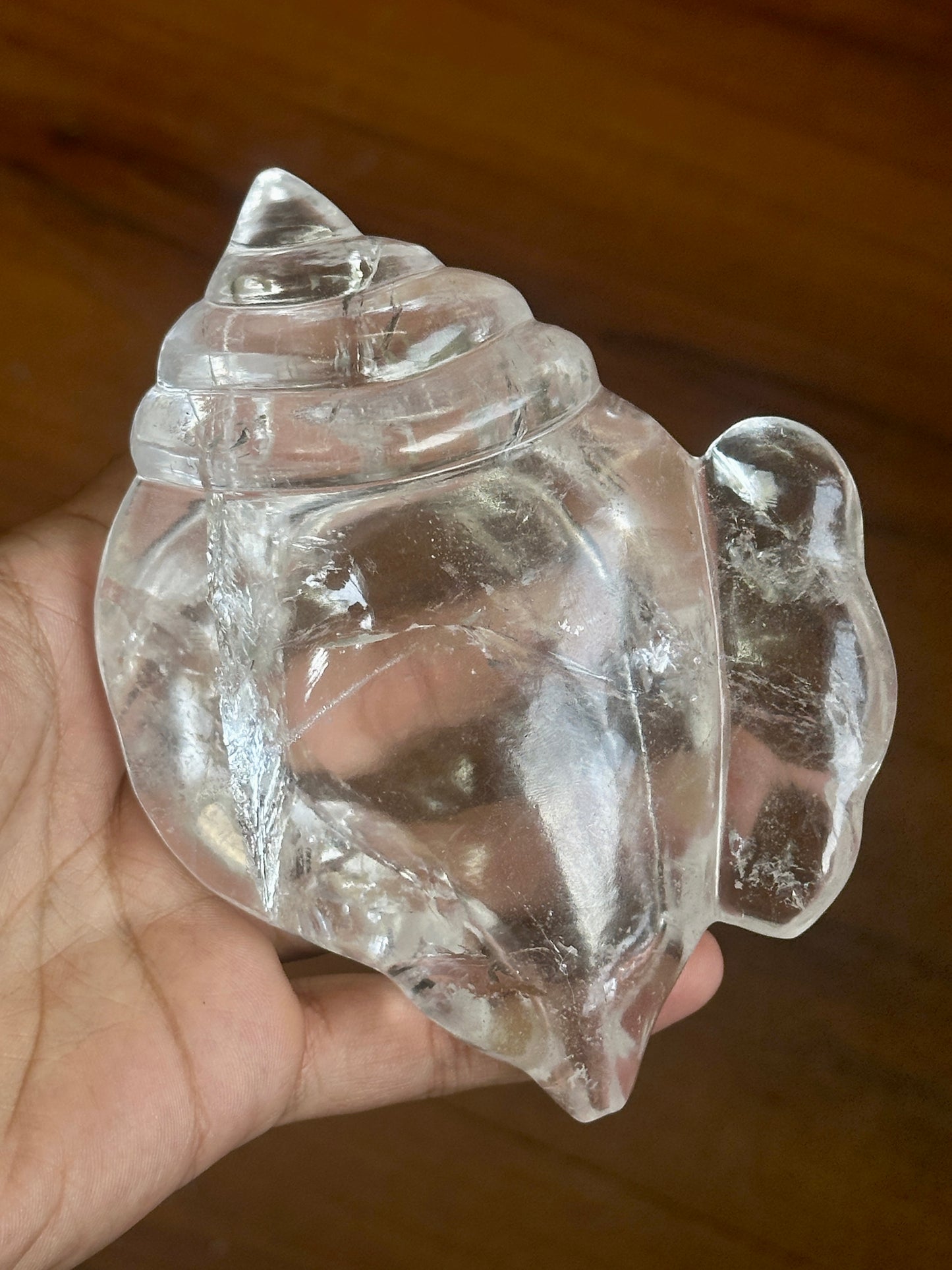 Himalayan Quartz Conch Shell (Shank) image 2