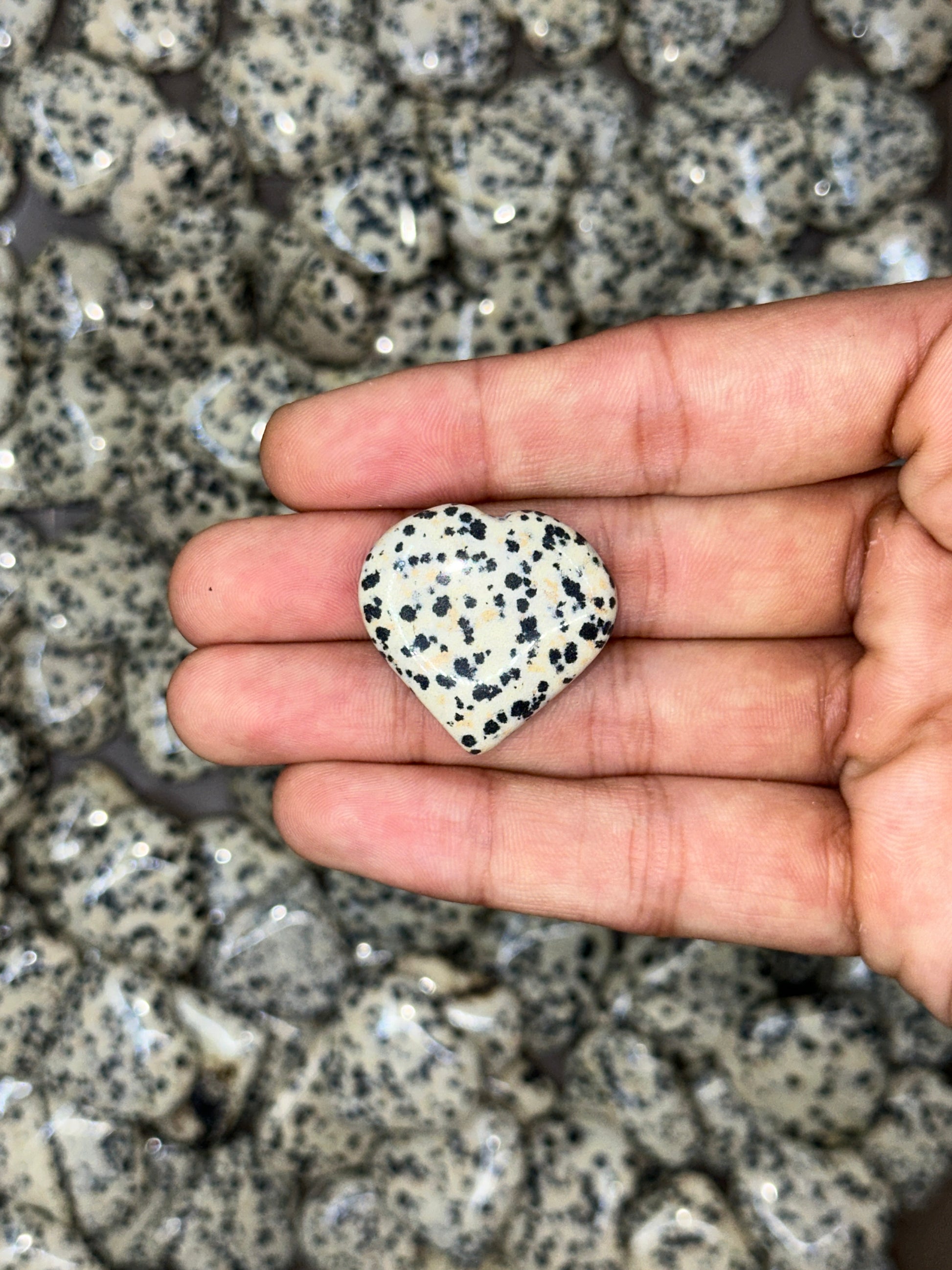 Mini Dalmation Jasper Hearts image 1