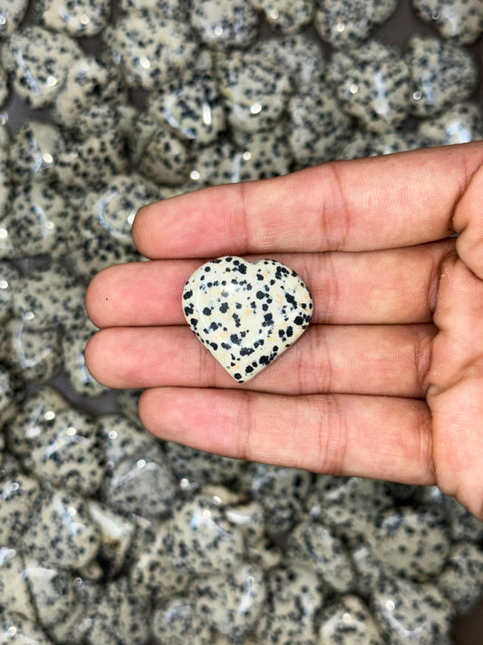 Mini Dalmation Jasper Hearts image 1