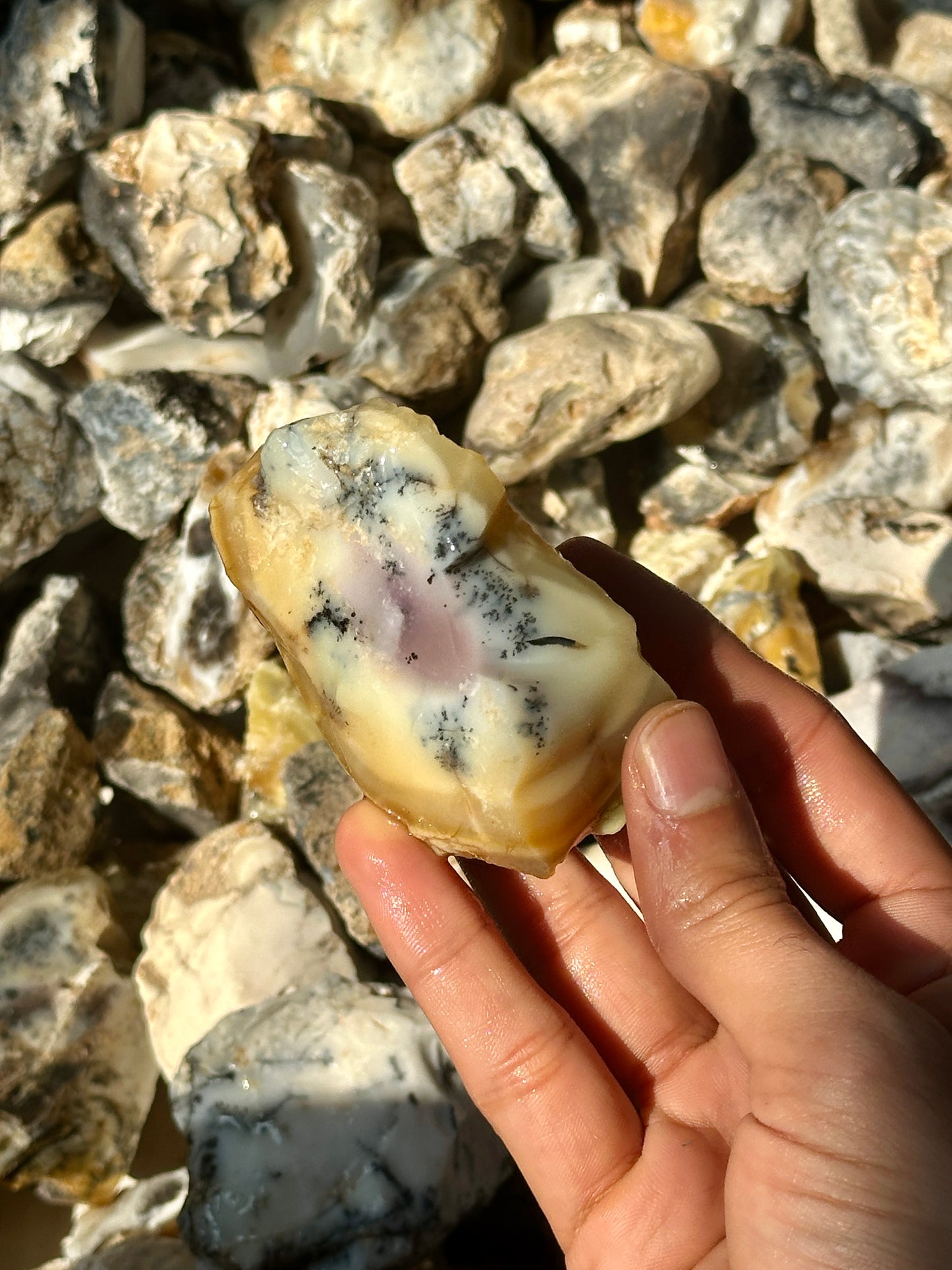 Dendritic Agate Rough (1kg) image 11