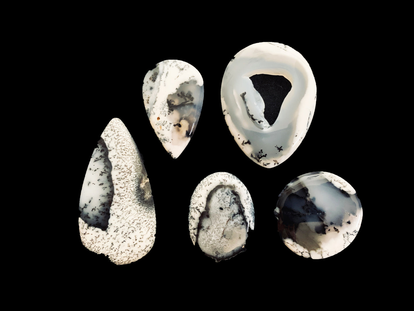 Dendritic Agate Palm Stones image 0