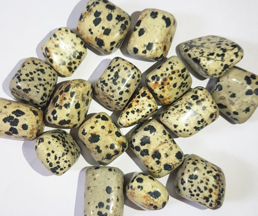 Dalmatian Jasper Tumbled Stones image 0