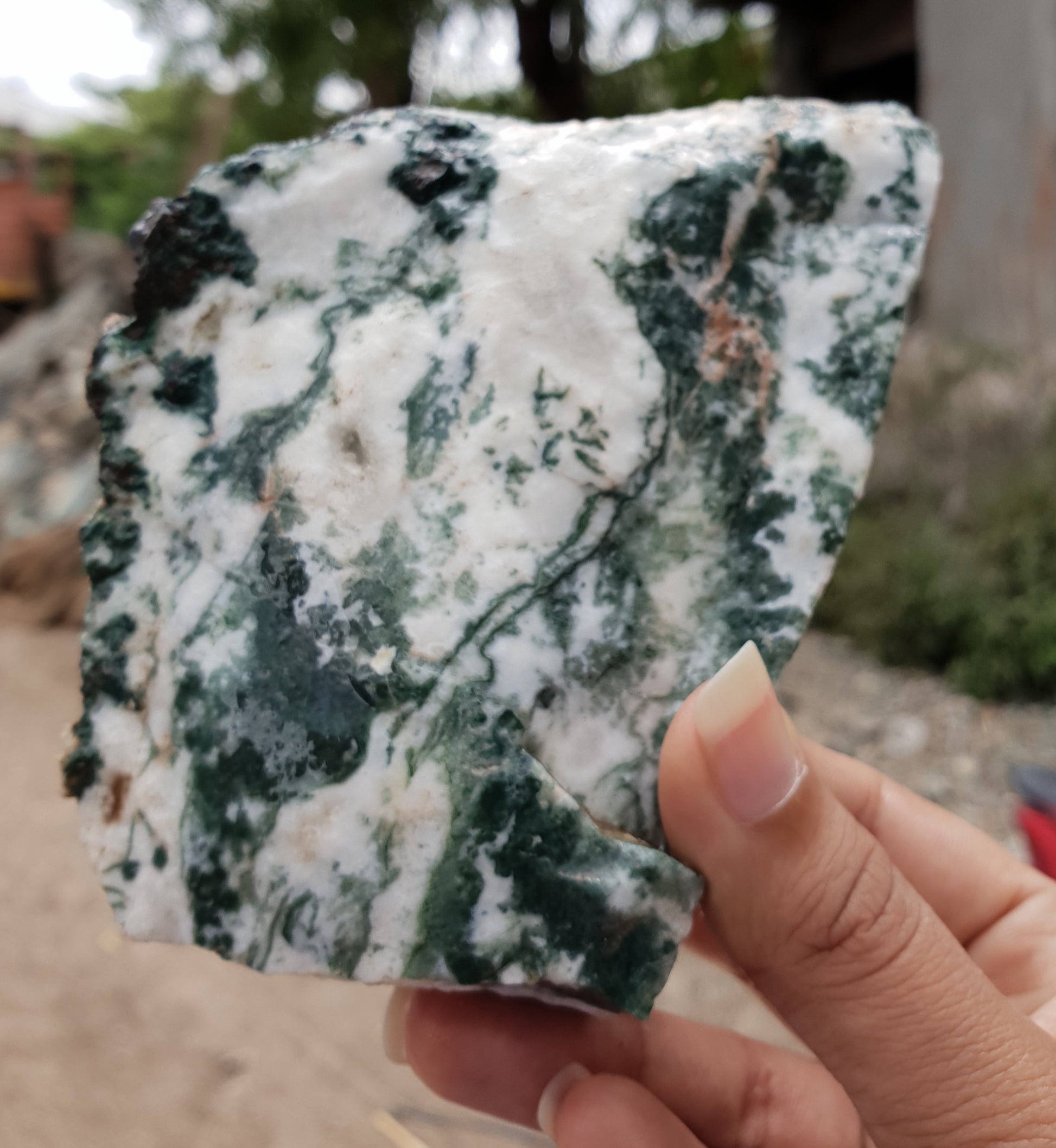Tree Agate Rough image 1