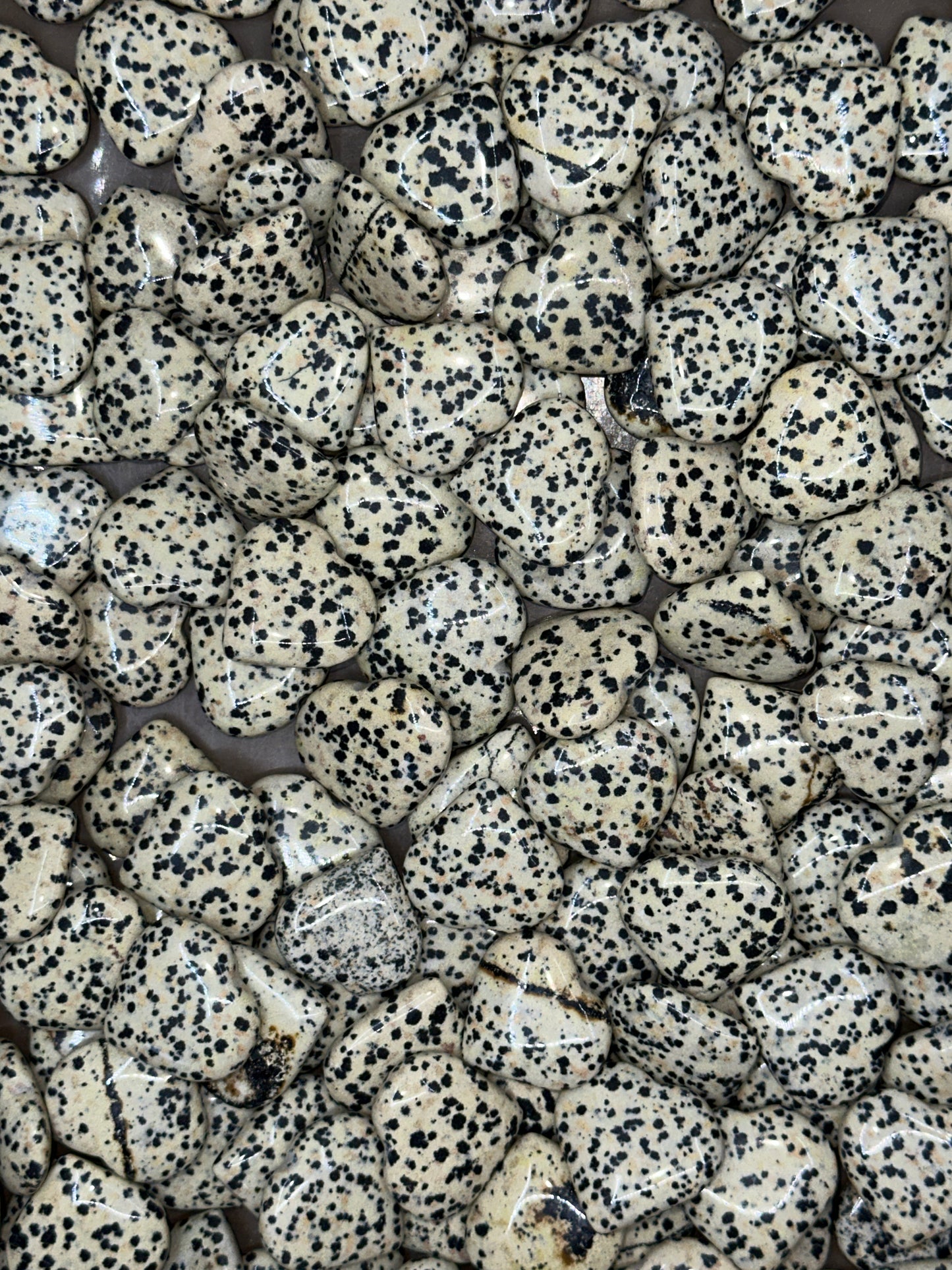 Mini Dalmation Jasper Hearts image 3
