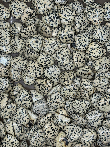 Mini Dalmation Jasper Hearts image 3