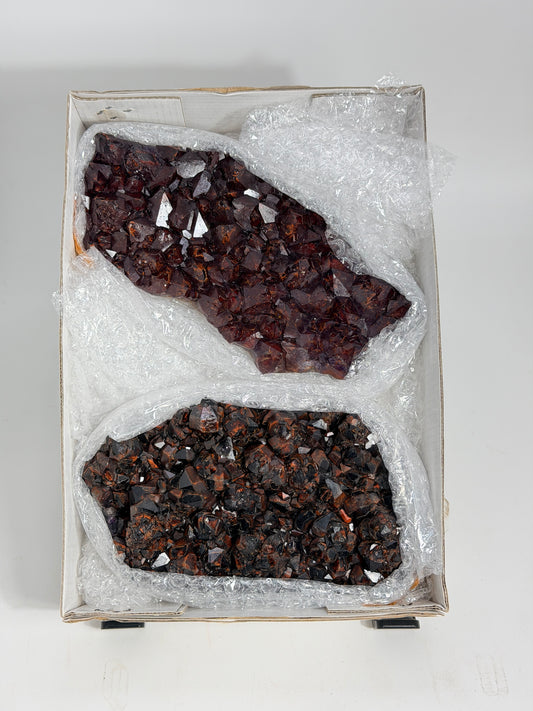 Alien Amethyst - #221