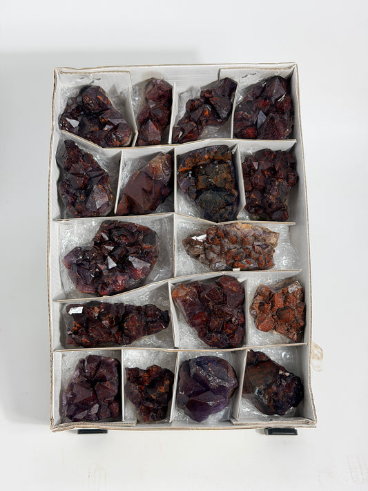 Alien Amethyst - #225