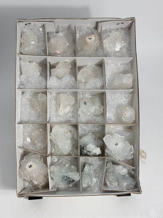Mirror Apophyllite Lot - #
