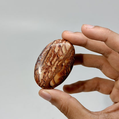 Wave Dolomite Palmstone (1KG)