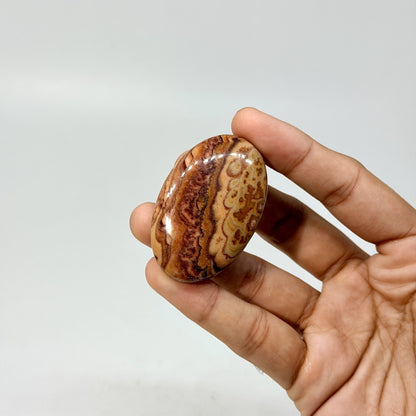 Wave Dolomite Palmstone (1KG)