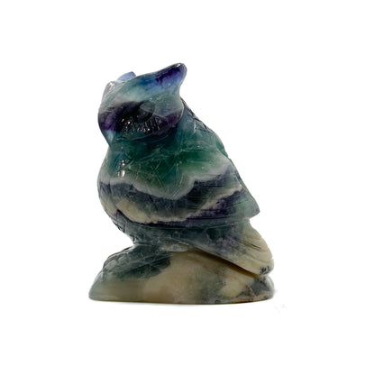 Fluorite Owl image 2