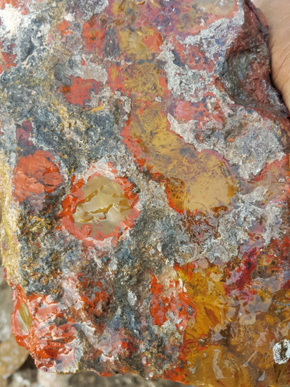 Conglomerate/King Cobra Jasper image 0