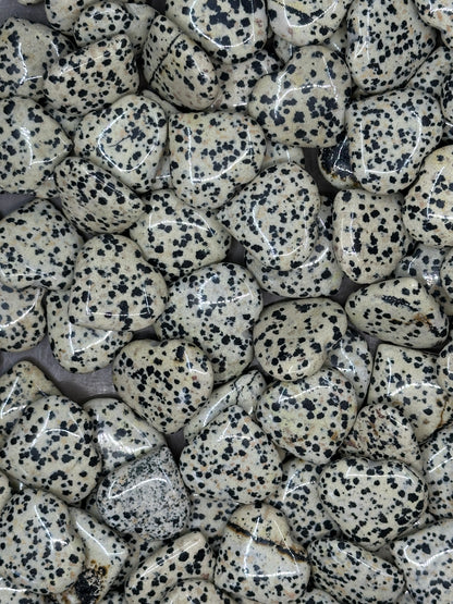 Mini Dalmation Jasper Hearts image 5