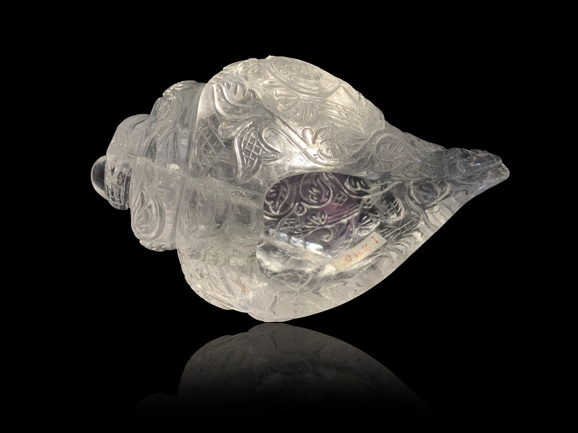 Crystal Carved "Shank"/Conchshell image 0