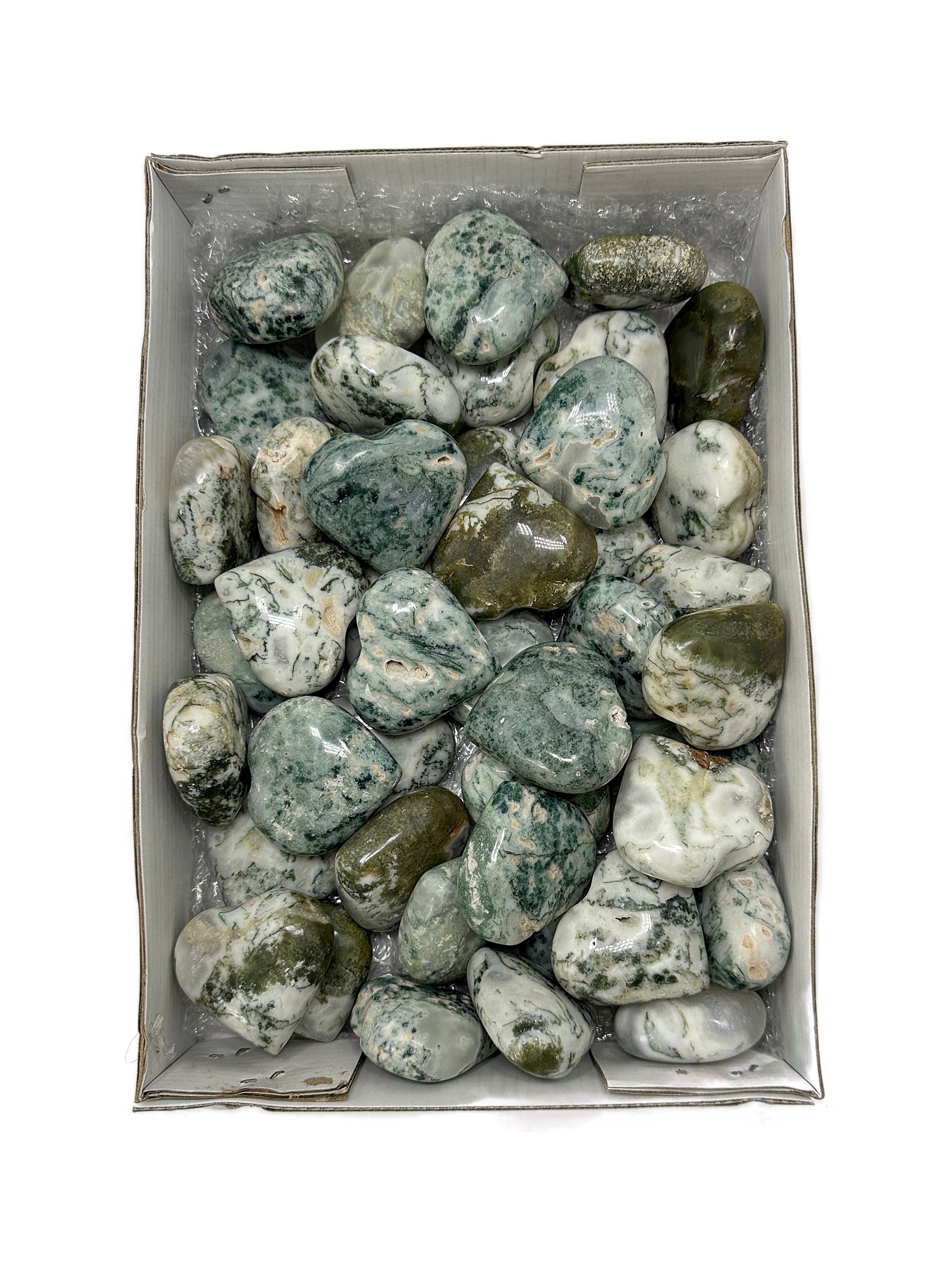 Tree Agate image 2