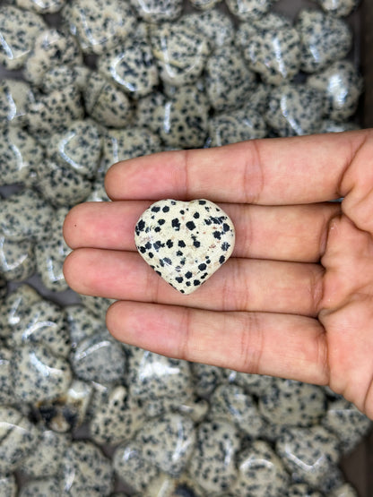 Mini Dalmation Jasper Hearts image 7
