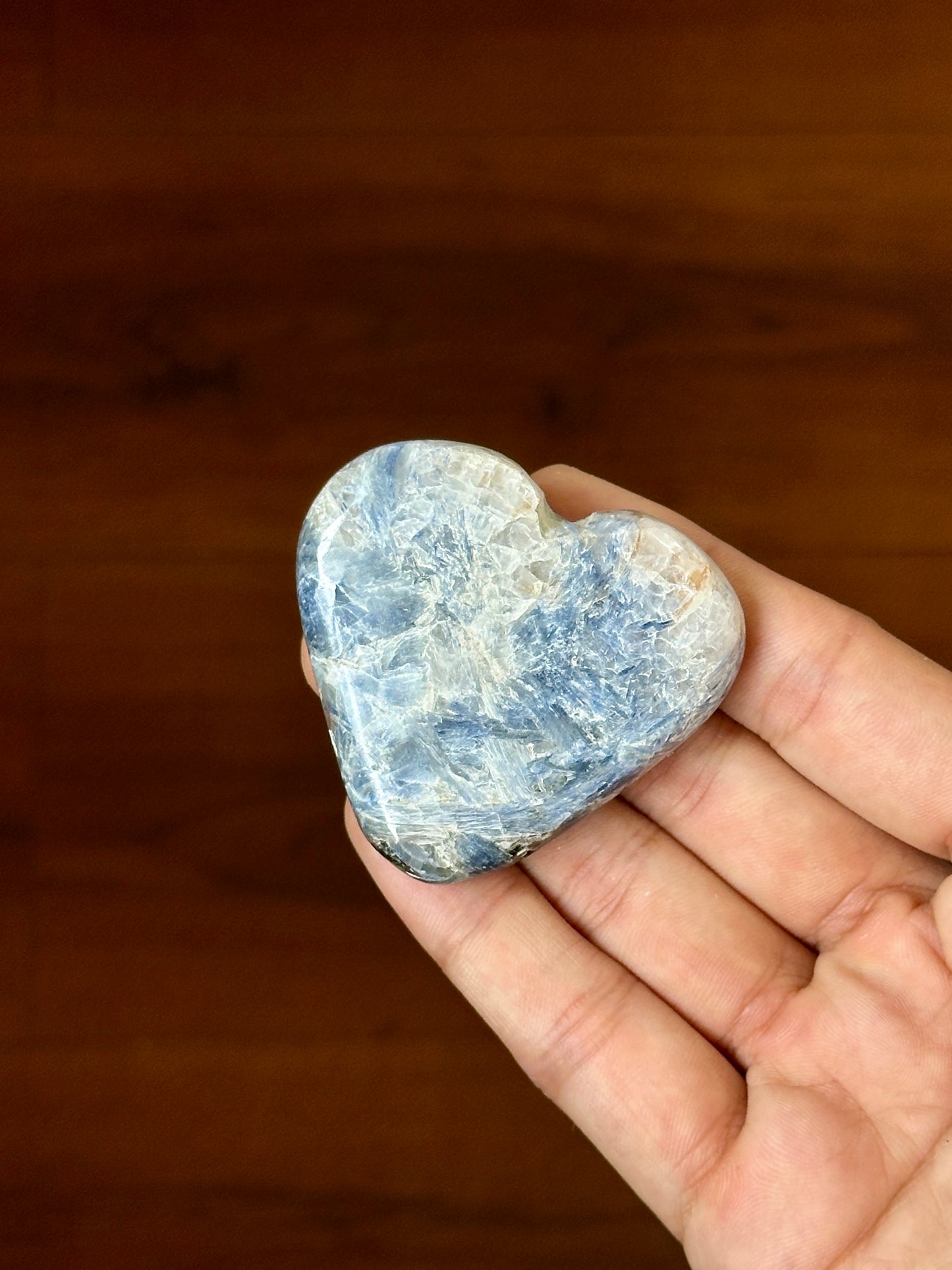 Kyanite in Quartz image 4