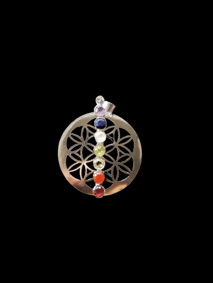 Seven Chakra Pendants in 925 Silver image 8