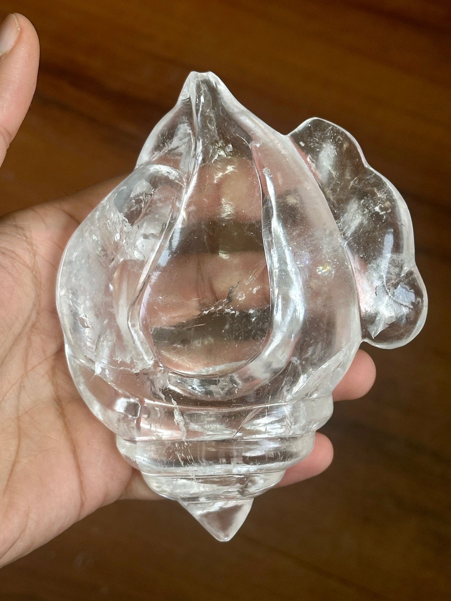 Himalayan Quartz Conch Shell (Shank) image 1