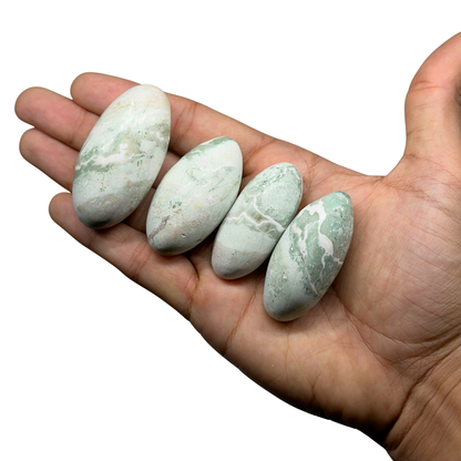 Unicorn Jasper Shivas image 1